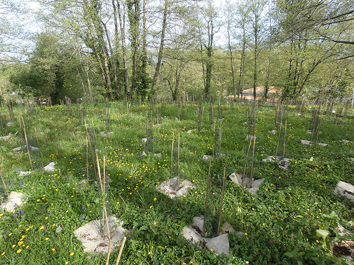 Projet d�am�nagement de la citadelle du g�n�ral Berg� � Bayonne (64)