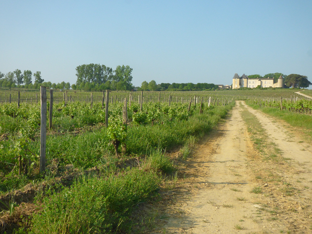 Etat des lieux naturaliste