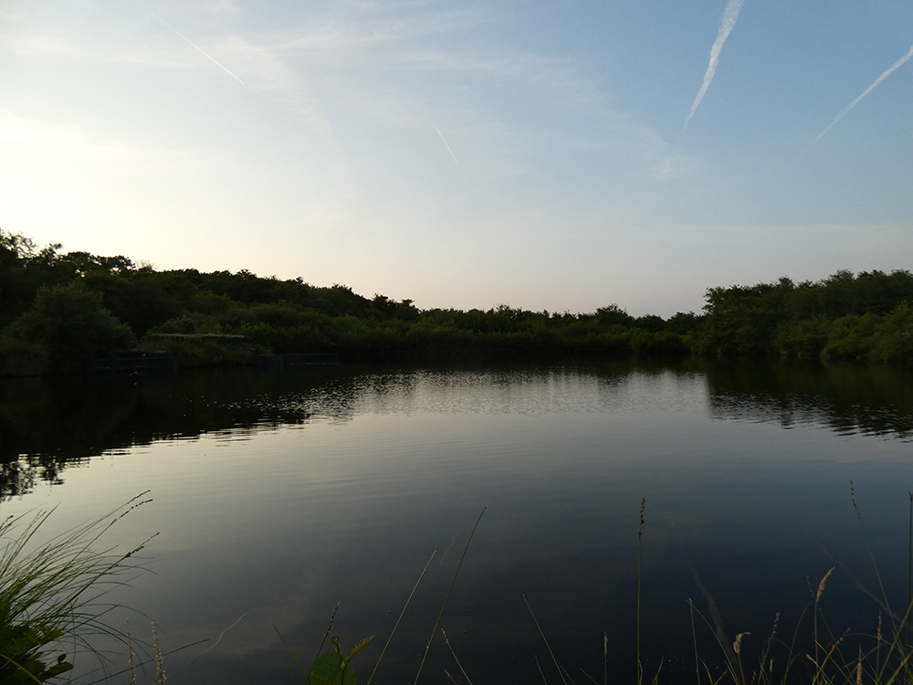 Gestion �cologique du marais de la Pointe � Capbreton (40)