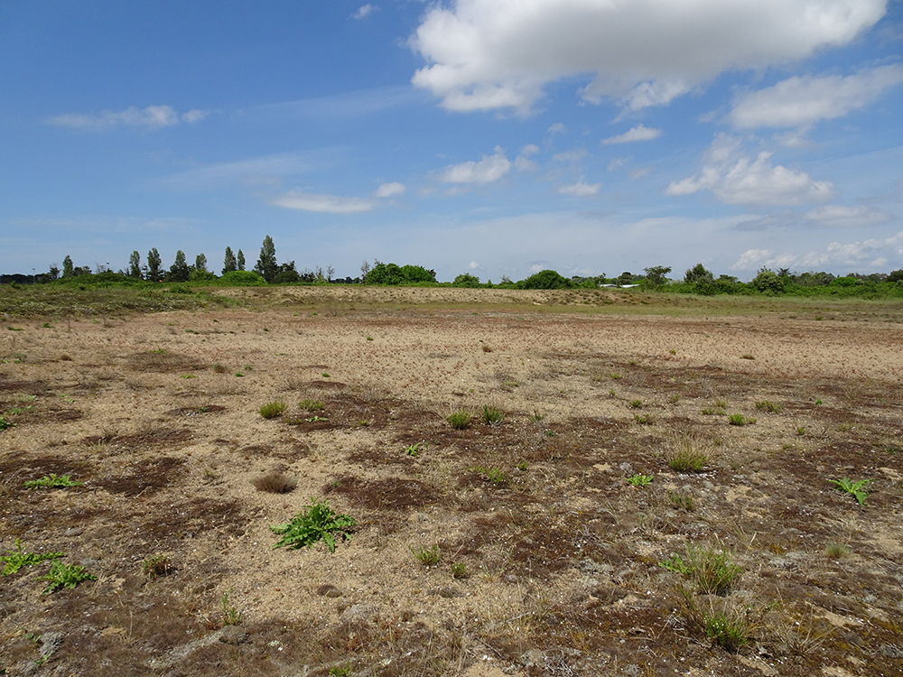 Projet solaire du Verdon-sur-Mer (33)